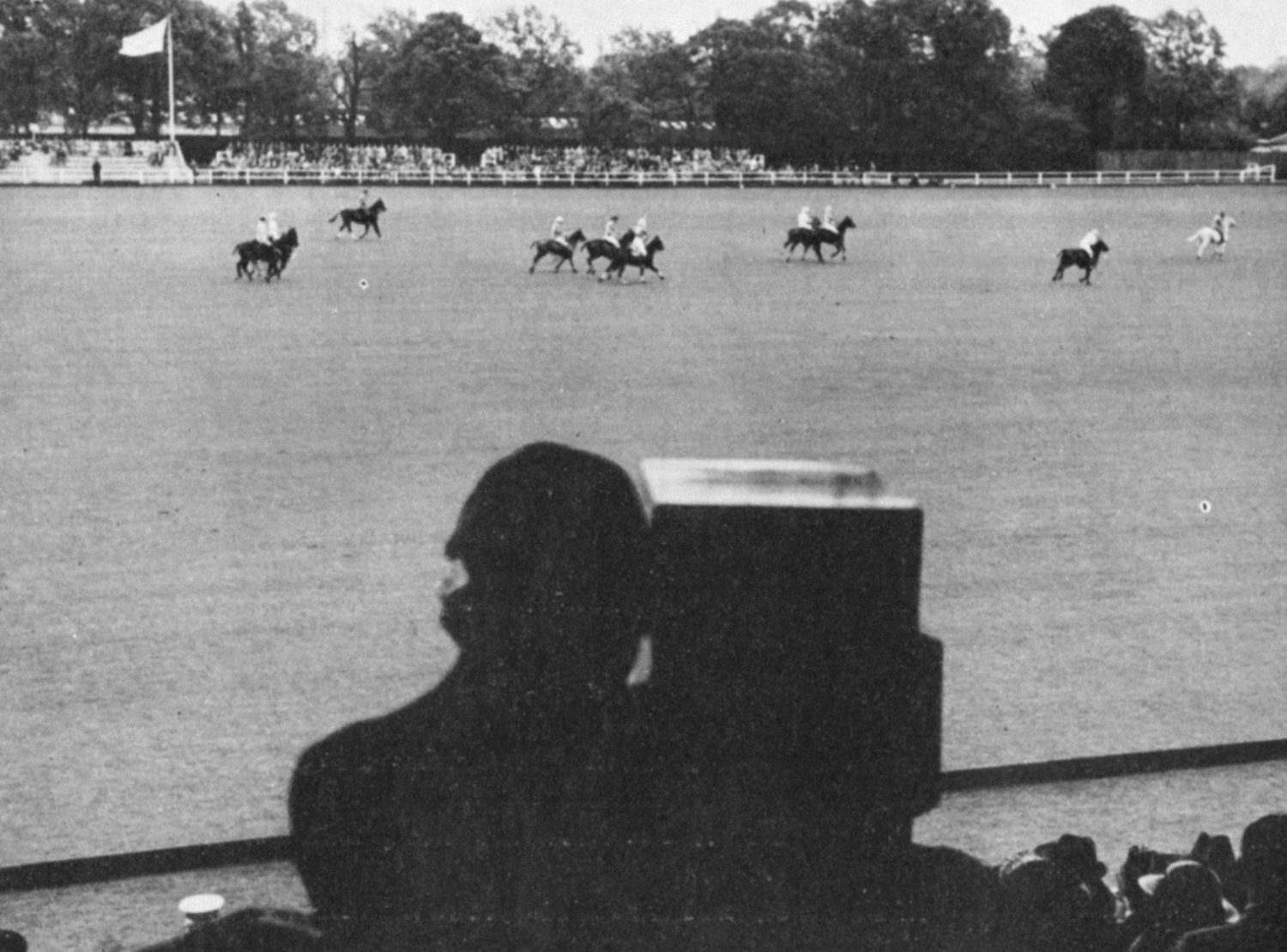 A horse race is followed by a camera in the stands